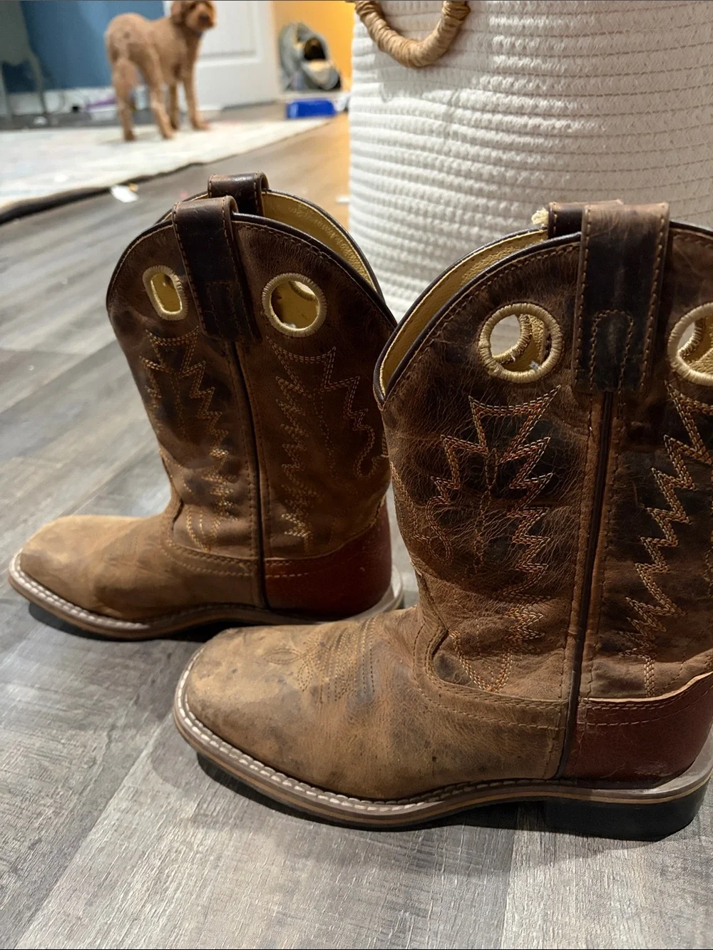 Kids Brown Pull-On Western Boots